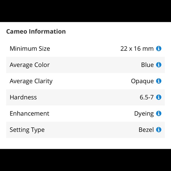 Blue Cameo Carved Bangle Bracelet & Earrings - Picture 7 of 8
